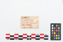 Etikett zu Eisengriffangelmesser (NHMW-PRAE-025625)